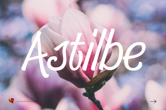 Astilbe: A Handwritten Font for Creative Projects