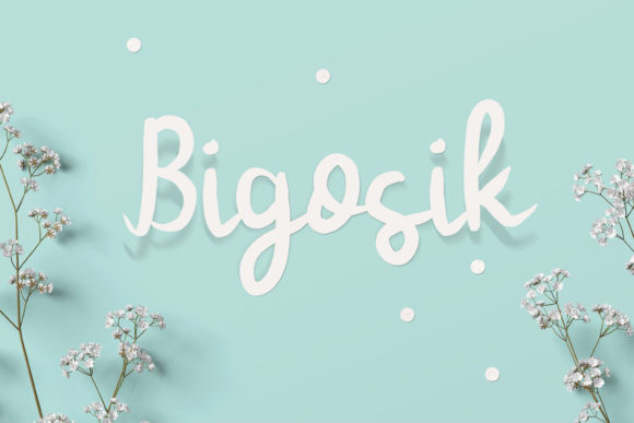 Bigosik: A Cheerful Font for Clear Campaigns