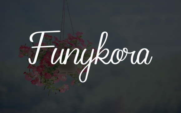 Funykora: A Sweet Handwritten Font for Creative Projects