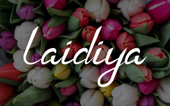 Laidiya: A Flowing Font for Elegant Design