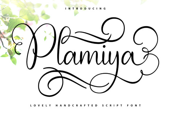 Plamiya: A Font That Elevates Your Brand